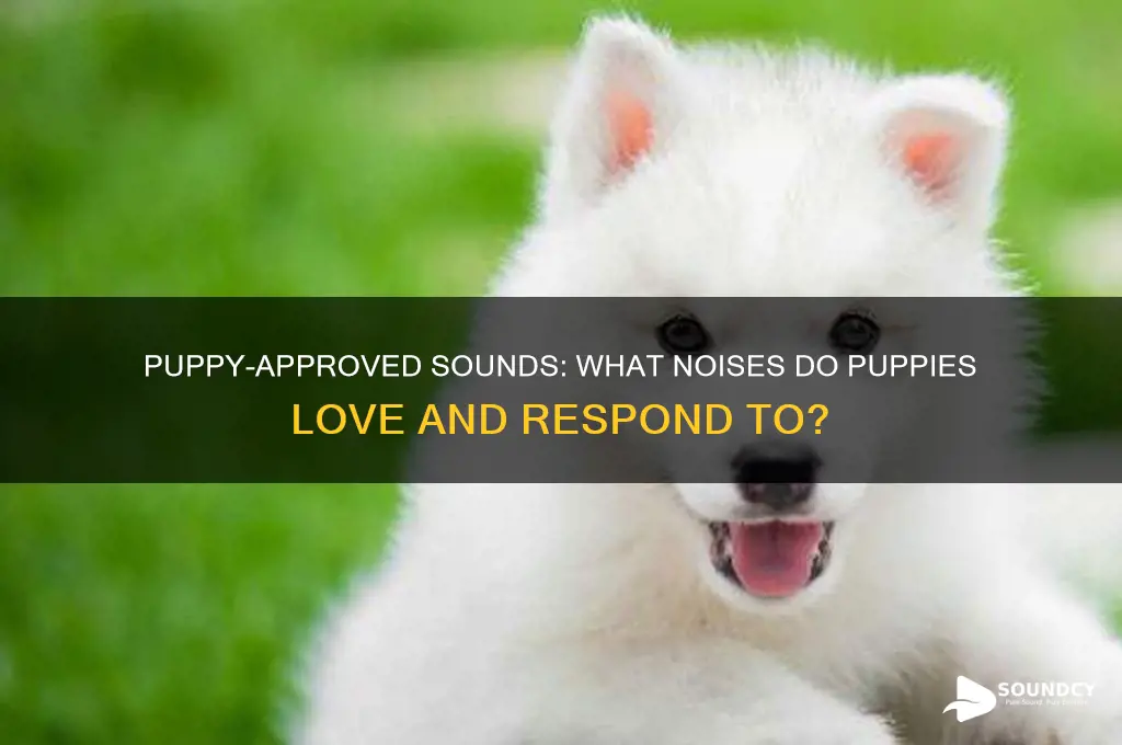 what sounds do puppies like