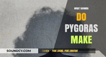 Unveiling the Unique Vocalizations: What Sounds Do Pygoras Make?