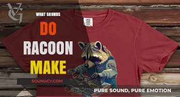 Unveiling the Unique Vocalizations: What Sounds Do Raccoons Make?
