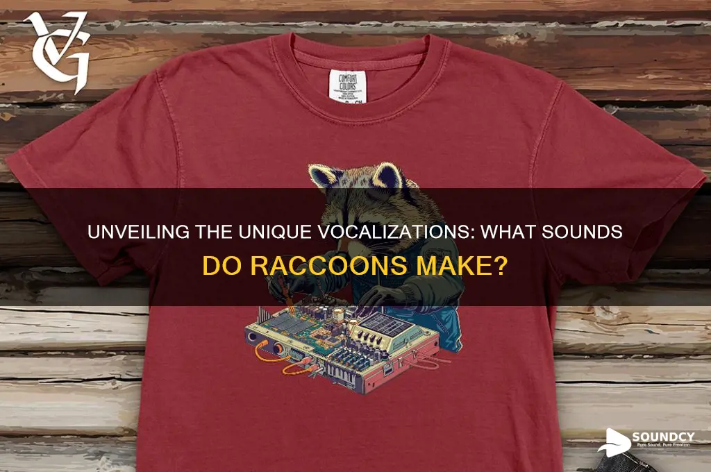 what sounds do racoon make