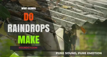 The Soothing Symphony: Exploring the Sounds of Raindrops Falling
