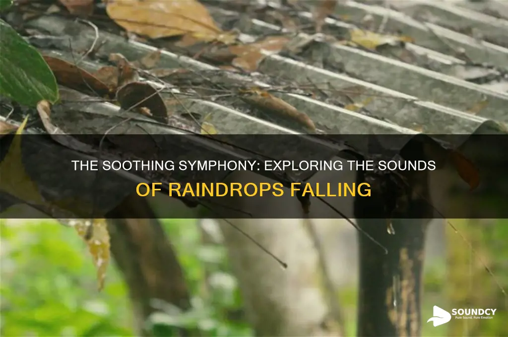 what sounds do raindrops make