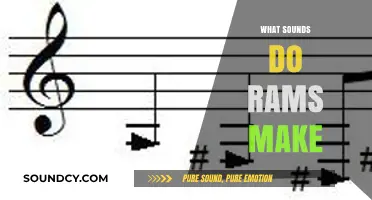 Unraveling the Unique Vocalizations: What Sounds Do Rams Make?