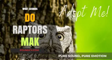 Unveiling the Mysterious Vocalizations of Raptors: Sounds and Communication