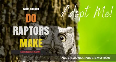 Unveiling the Mysterious Vocalizations of Raptors: Sounds and Meanings