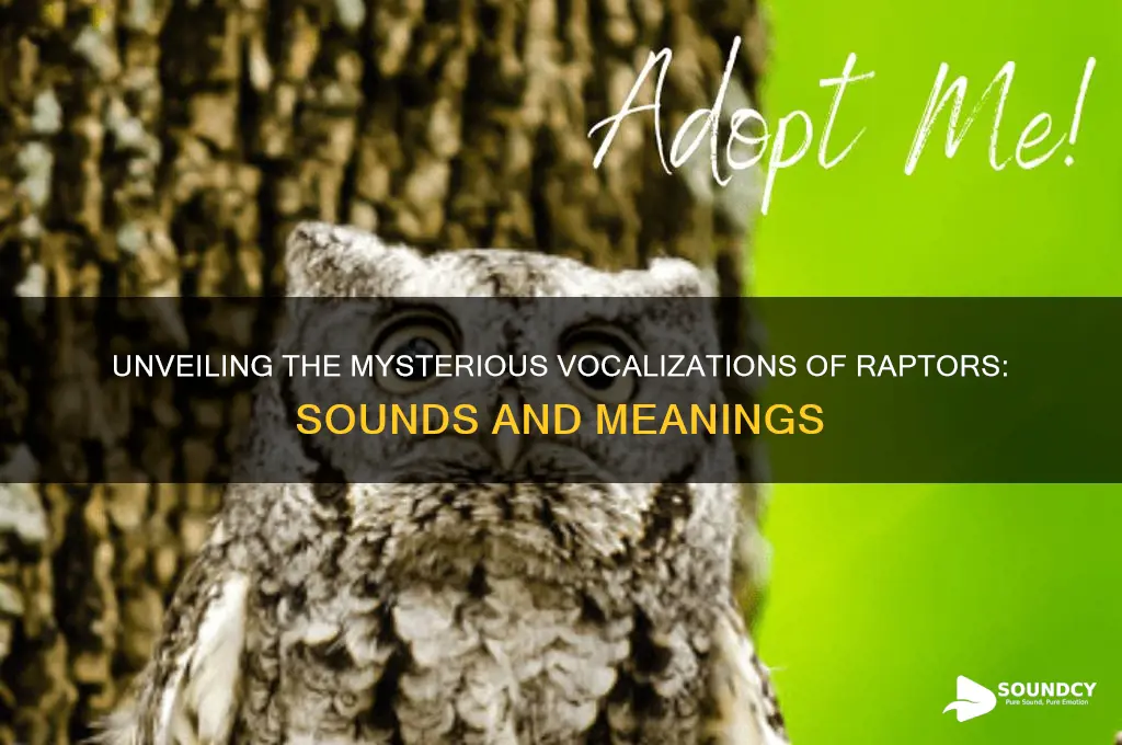 what sounds do raptors make