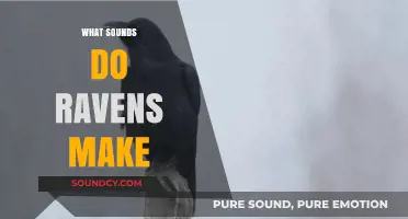 Unraveling the Mystical Sounds of Ravens: A Comprehensive Guide