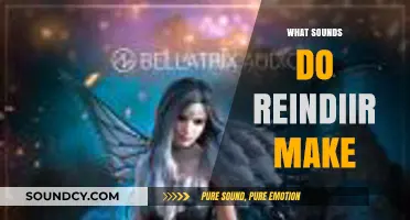 Unveiling the Mystical Sounds of Reindiir: A Comprehensive Exploration