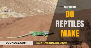 Unveiling the Surprising Sounds of Reptiles: From Hisses to Chirps