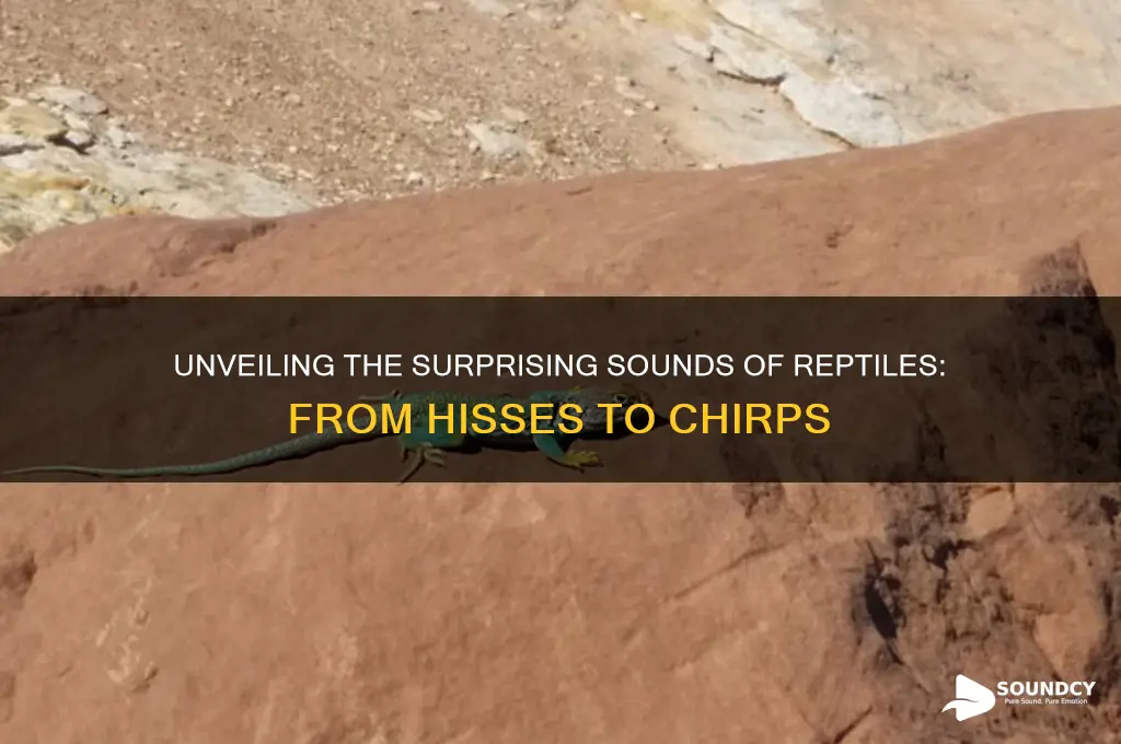what sounds do reptiles make