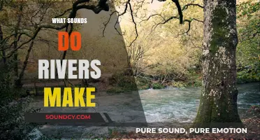 Exploring the Soothing and Dynamic Sounds of Rivers: A Guide