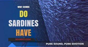 Unveiling the Surprising Sounds Sardines Make in the Ocean