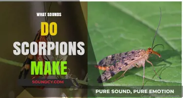 Unveiling the Silent World: Do Scorpions Make Any Sounds?