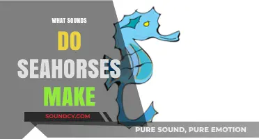 Unveiling the Mysterious Sounds of Seahorses: What Do They Communicate?