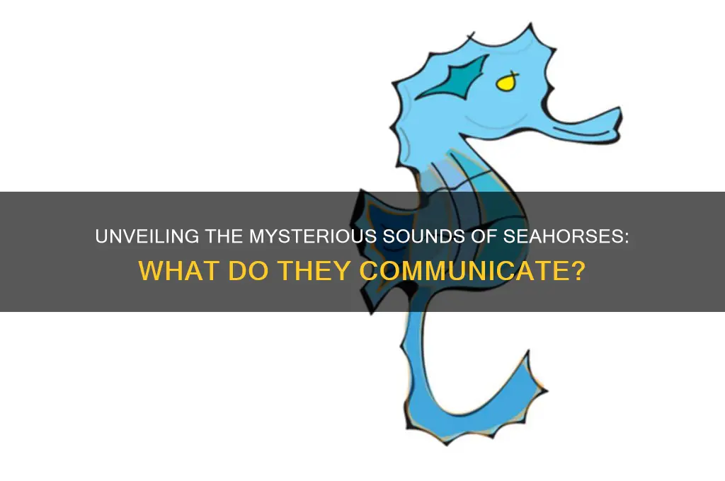 what sounds do seahorses make