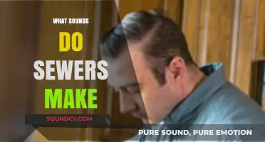 Uncovering the Mysterious Noises: What Sounds Do Sewers Make?