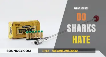 Unleashing Shark Repellents: Sounds That Drive Sharks Away Instantly