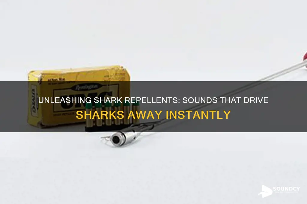 what sounds do sharks hate