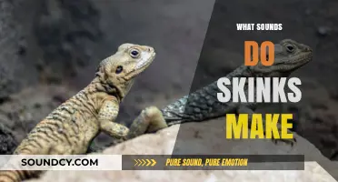 Unveiling the Unique Vocalizations: What Sounds Do Skinks Make?