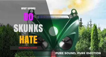 Unleash the Power: Sounds That Repel Skunks Effectively
