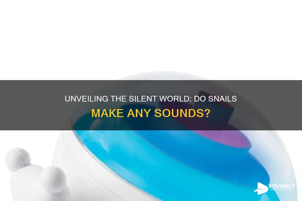 what sounds do snails make