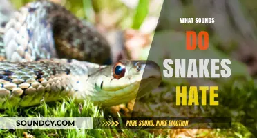Unwanted Hiss: Sounds That Repel Snakes and Keep Them Away
