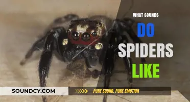 Unraveling the Mystery: What Sounds Attract Spiders and Why