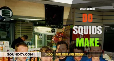 Unveiling the Mysterious Underwater Sounds of Communicating Squids