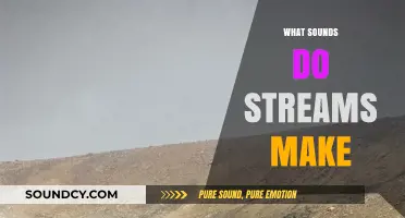 The Soothing Symphony of Streams: Exploring Nature's Gentle Water Sounds