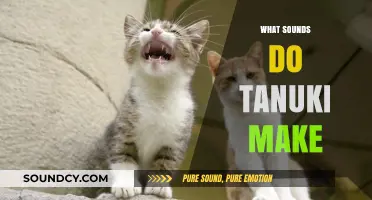 Unveiling the Unique Vocalizations: What Sounds Do Tanuki Make?