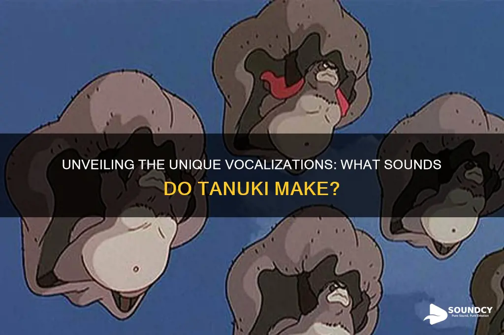 what sounds do tanuki make