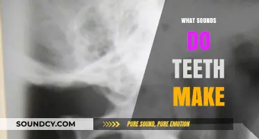 Unusual Noises: Exploring the Surprising Sounds Your Teeth Can Make