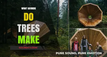 Listening to Nature: Uncovering the Subtle Sounds Trees Make