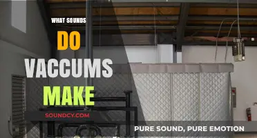 Unraveling the Unique Noises: What Sounds Do Vacuums Make?