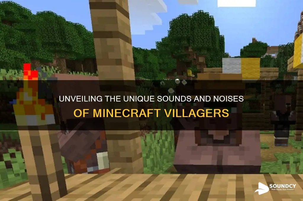 what sounds do villagers make
