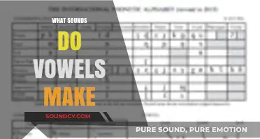 Exploring the Unique Sounds Vowels Make in English Phonetics