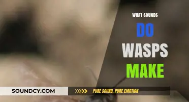 Unveiling the Buzz: Understanding the Unique Sounds Wasps Produce