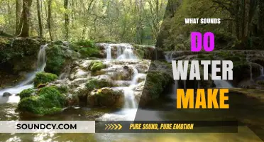 Exploring the Soothing and Varied Sounds Water Creates in Nature