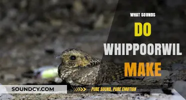 Discover the Unique and Haunting Calls of Whippoorwills at Night