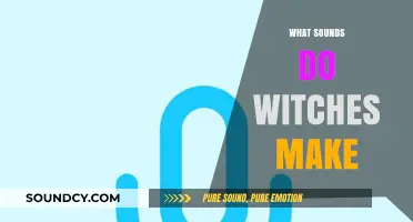 Cackles, Whispers, and Chants: Decoding the Sounds of Witches