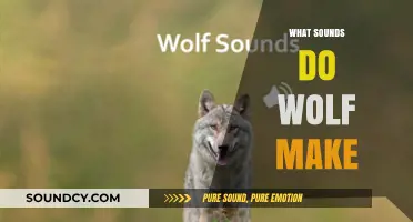 Unveiling the Mysterious Sounds: How Wolves Communicate in the Wild