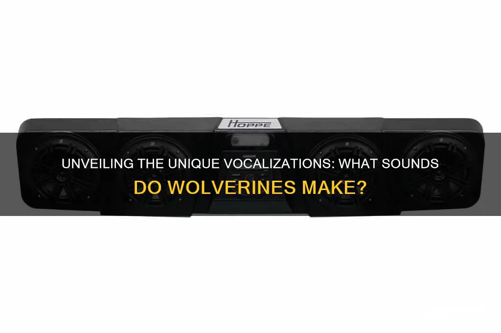 what sounds do wolverines make
