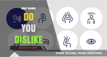 Unbearable Noises: Exploring the Sounds That Drive Us Crazy