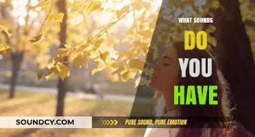 Exploring the Unique Sounds That Surround and Define Your Daily Life