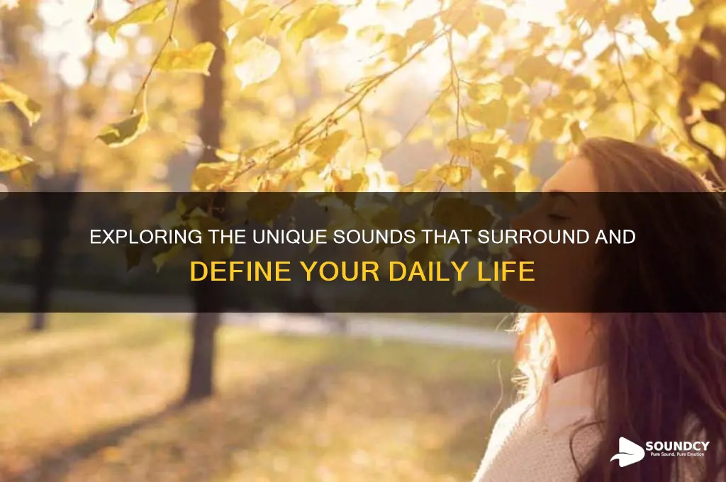 what sounds do you have