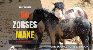 Unveiling the Unique Vocalizations: What Sounds Do Zorses Make?