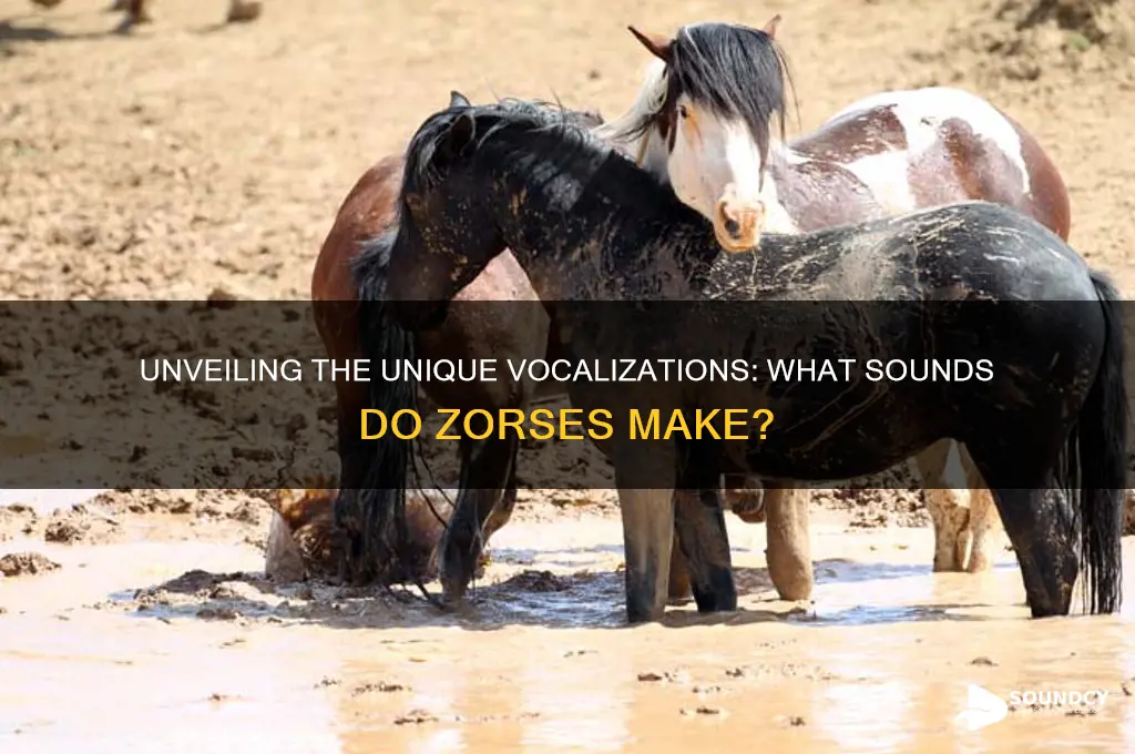 what sounds do zorses make
