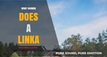 Unraveling the Unique Sounds of a Linka: A Comprehensive Guide