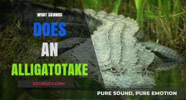 Unveiling the Unique Sounds of Alligators: A Comprehensive Guide