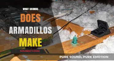 Unveiling the Unique Noises: What Sounds Do Armadillos Make?